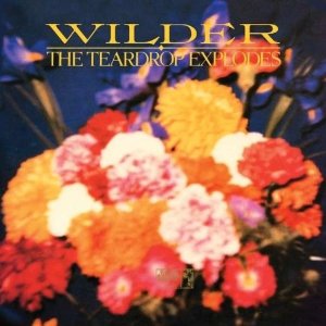 TEARDROP EXPLODES / ティアドロップ・エクスプローズ  / WILDER (DELUXE EDITION) (2CD)