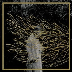 FOREST SWORDS / フォレスト・ソーズ / ENGRAVINGS