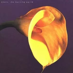 SWANS / スワンズ / BURNING WORLD (LP)