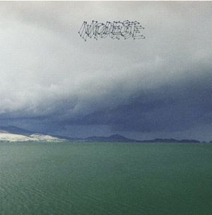 MODEST MOUSE / モデスト・マウス / FRUIT THAT ATE ITSELF (LP)