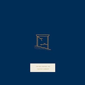 THIS WILL DESTROY YOU / ディス・ウィル・デストロイ・ユー / ANOTHER LANGUAGE (2LP)