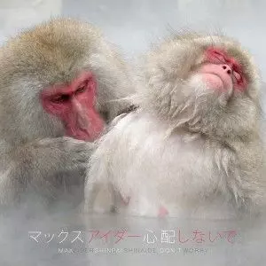 MAX EIDER / マックス・アイダー / 心配しないで 'Don't Worry' (通常盤 7")