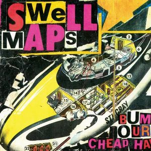 SWELL MAPS / スウェル・マップス / ARCHIVE RECORDINGS VOLUME 1: WASTRELS AND WHIPPERSNAPPERS (LP)
