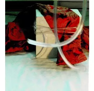 NIKKI SUDDEN / ニッキ・サドゥン / RED BROCADE (REMASTERED & EXPANDED) (2CD)