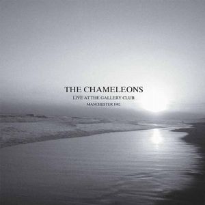 CHAMELEONS / カメレオンズ / LIVE AT THE GALLERY CLUB (2LP)