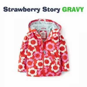 STRAWBERRY STORY / ストロベリー・ストーリー / GRAVY (2CD-R)