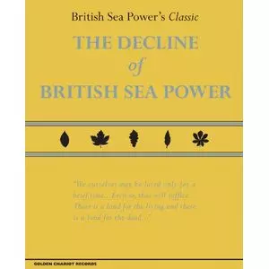 BRITISH SEA POWER / ブリティッシュ・シー・パワー / DECLINE OF BRITISH SEA POWER (2CD+DVD)