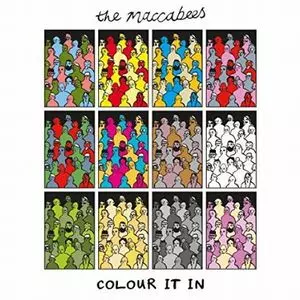 MACCABEES / マカビーズ / COLOUR IT IN (LP)