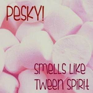 PESKY! / SMELLS LIKE TWEEN SPIRIT