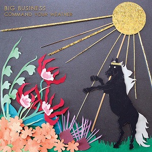 BIG BUSINESS / ビッグビジネス / COMMAND YOUR WEATHER(LP)