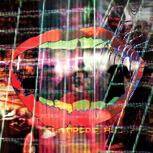 ANIMAL COLLECTIVE / アニマル・コレクティヴ / CENTIPEDE HZ (2LP+DVD/180G/DELUXE)