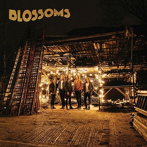 BLOSSOMS(UK ROCK) / ブロッサムズ / BLOSSOMS (LP/180G)