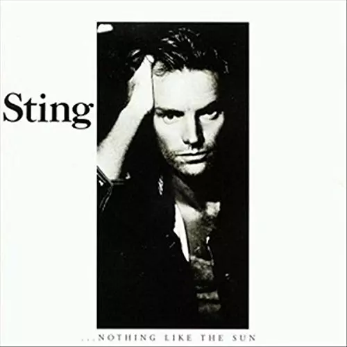 Sting Nothing Like The Sun レコード NOTHING LIKE THE SUN (2LP/180G)/STING/スティング｜ROCK