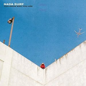 NADA SURF / ナダ・サーフ / YOU KNOW WHO YOU ARE (LP)