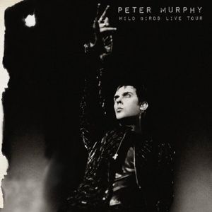 PETER MURPHY / ピーター・マーフィー / WILD BIRDS LIVE TOUR (2CD)