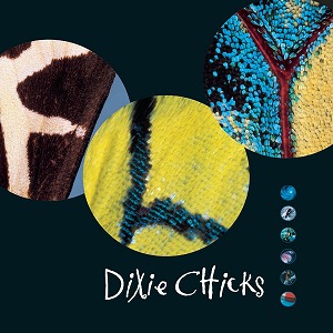 DIXIE CHICKS / ディクシー・チックス / FLY (2LP/REMASTERED)