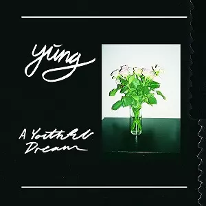 YUNG / ユング / ユースフル・ドリーム