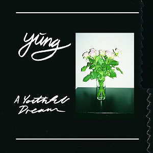 YUNG / ユング / A YOUTHFUL DREAM (LP)