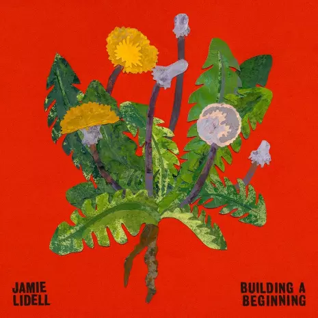 JAMIE LIDELL / ジェイミー・リデル / ビルディング・ア・ビギニング