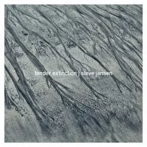 STEVE JANSEN / スティーヴ・ジャンセン / TENDER EXTINCTION