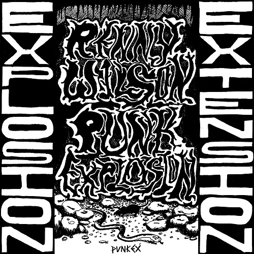 RENNY WILSON / レニー・ウィルソン / PUNK EXPLOSION/EXTENSION (LP)