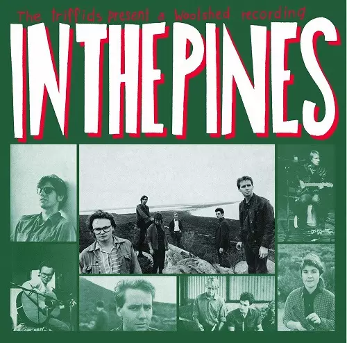 TRIFFIDS / トリフィッズ / IN THE PINES (REMASTERED)