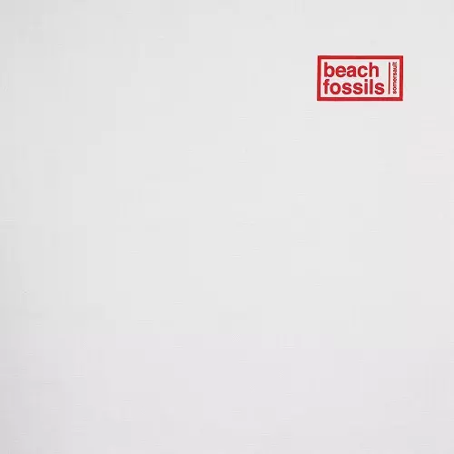 BEACH FOSSILS / ビーチ・フォッシルズ / SOMERSAULT (LP)