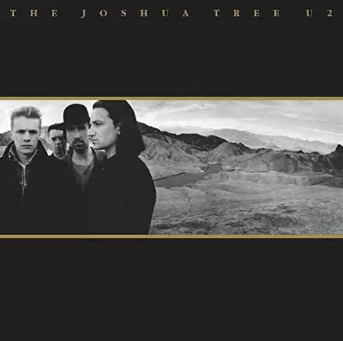 ◾️️究極高音質2LP重量盤■U2 ■The Joshua Tree◾️2LP / 2 THE JOSHUA TREE (2LP/HEAVYWEIGHT VINYL/30TH ANNIVERSARY EDITION