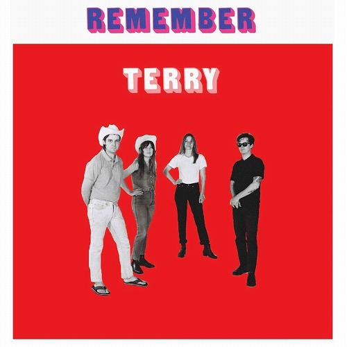 TERRY (INDIE ROCK) / REMENBER TERRY (LP)