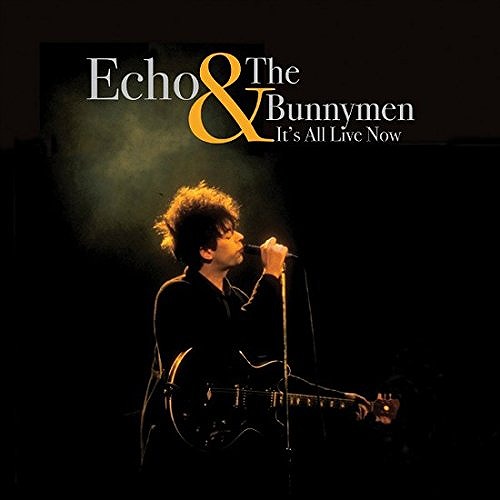 ECHO & THE BUNNYMEN / エコー&ザ・バニーメン / IT'S ALL LIVE NOW (LP/180G)