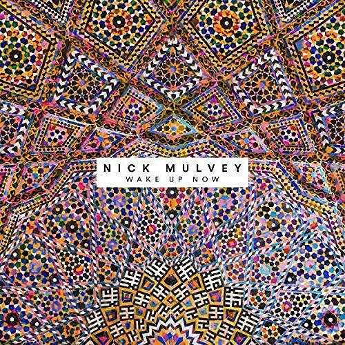 NICK MULVEY / ニック・マルヴェイ / WAKE UP NOW (LP)