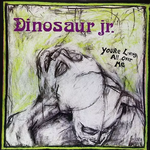 YOU'RE LIVING ALL OVER ME (LP)/DINOSAUR JR./ダイナソー・ジュニア