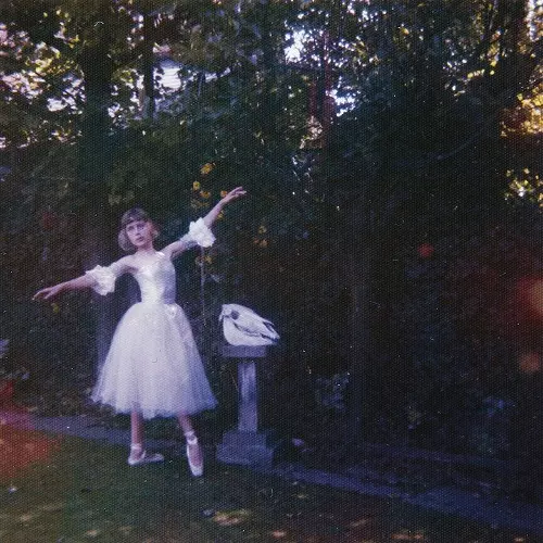 ★ Wolf Alice レコード 12\" ☆ Wolf Alice レコード 12