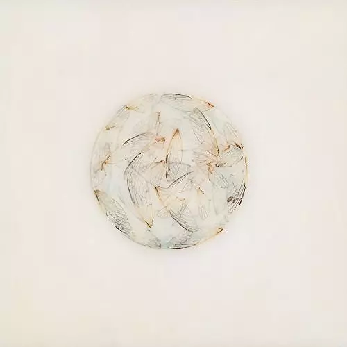 LOTTE KESTNER / ロッテ・ケストナー / OFF WHITE
