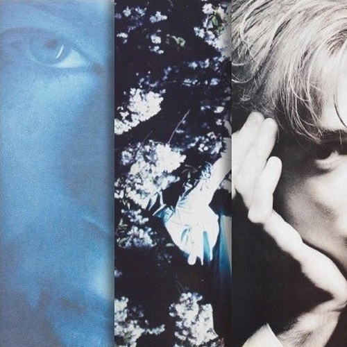 MOMUS / モーマス / CREATE I - PROCREATE: 3CD REMASTERED & EXPANDED EDITION (3CD)