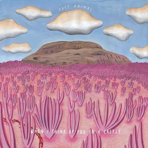 POST ANIMAL レコード POST ANIMAL / ポスト・アニマル商品一覧｜ROCK / POPS / INDIE