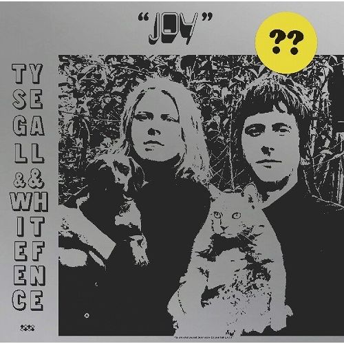 TY SEGALL & WHITE FENCE / タイ・セガール・アンド・ホワイト・フェンス / JOY (LP)