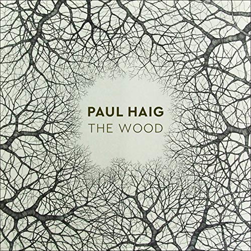 PAUL HAIG / ポール・ヘイグ / THE WOOD (LP)