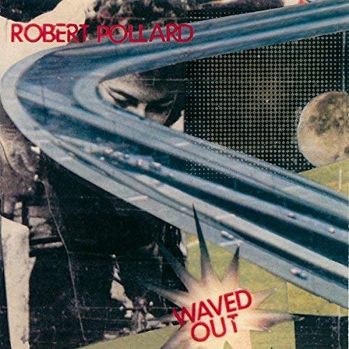 ROBERT POLLARD / ロバート・ポラード / WAVED OUT (LP)