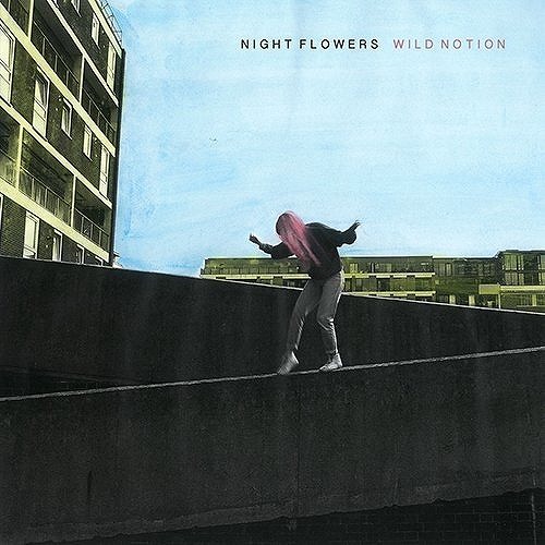 WILD NOTION (LP)/NIGHT FLOWERS/ナイト・フラワーズ｜ROCK / POPS