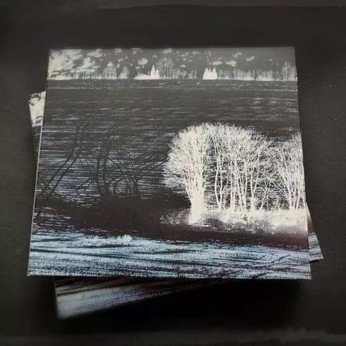 GREEN KINGDOM / グリーン・キングダム / EXPANSES (REISSUE) (2CD)