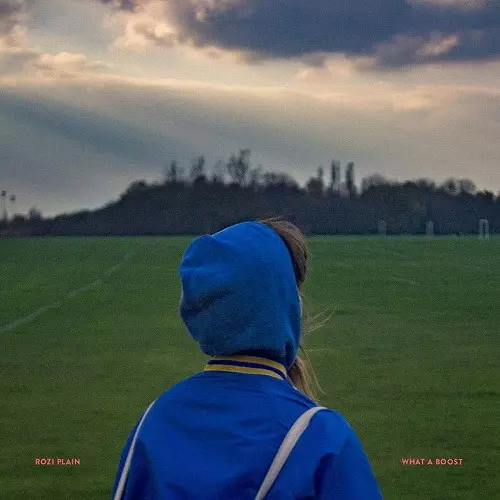 ROZI PLAIN / ロジー・プレイン / WHAT A BOOST (LP/180G)