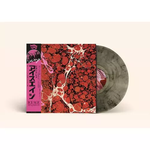 ICEAGE CDセット ICEAGE / アイスエイジ商品一覧｜PUNK｜ディスクユニオン・オンライン