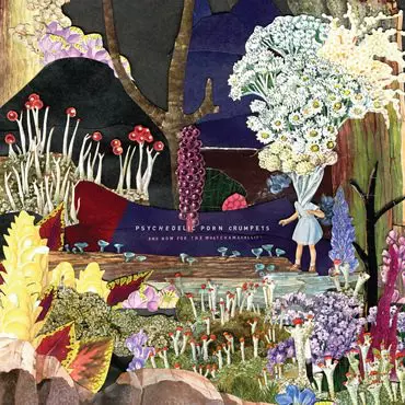 サイケデリック・ポーン・クランペッツ CD　2枚セット PSYCHEDELIC PORN CRUMPETS / サイケデリック・ポーン・クランペッツ