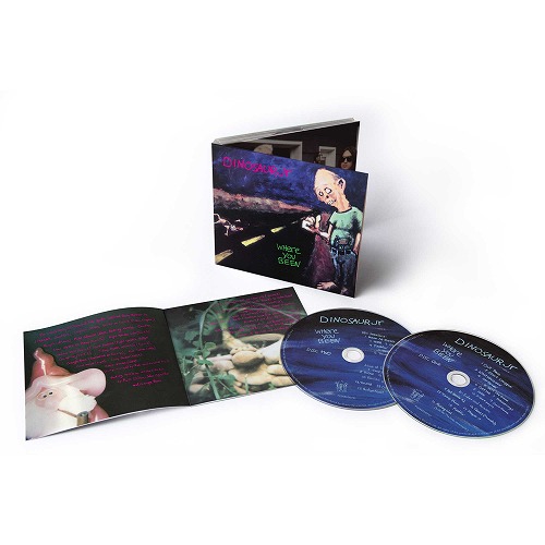 DINOSAUR JR. / ダイナソー・ジュニア / WHERE YOU BEEN / ホエアー・ユー・ビーン(デラックス・エディション) (2CD)