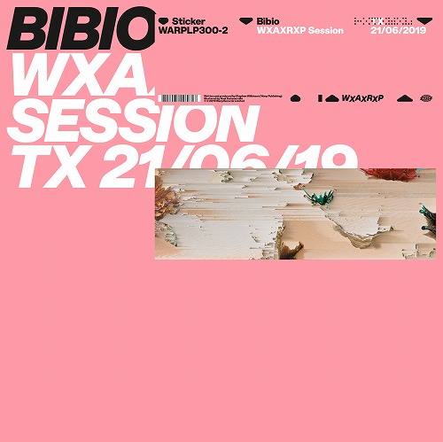 BIBIO / WXAXRXP SESSION TX: 21/06/2019 (12")