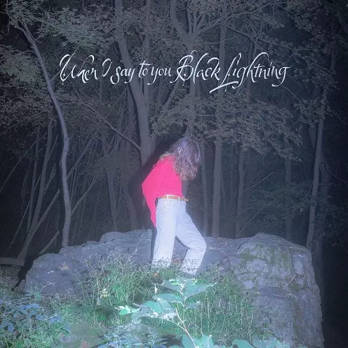 COMMON HOLLY / コモン・ホーリー / WHEN I SAY TO YOU BLACK LIGHTNING (LP)