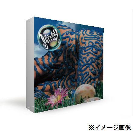 JELLYFISH / ジェリーフィッシュ / 紙ジャケSHM-CD 2タイトルまとめ買いセット
