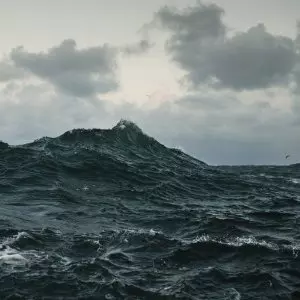 VOLCANO CHOIR / ヴォルケーノ・クワイアー / REPAVE (LP)