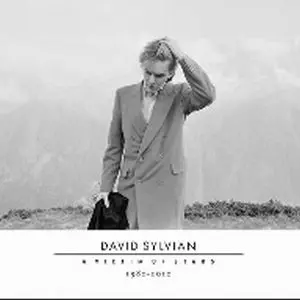 希少限定盤CD】デヴィッド・シルヴィアン いくつかの家に射し込む光
